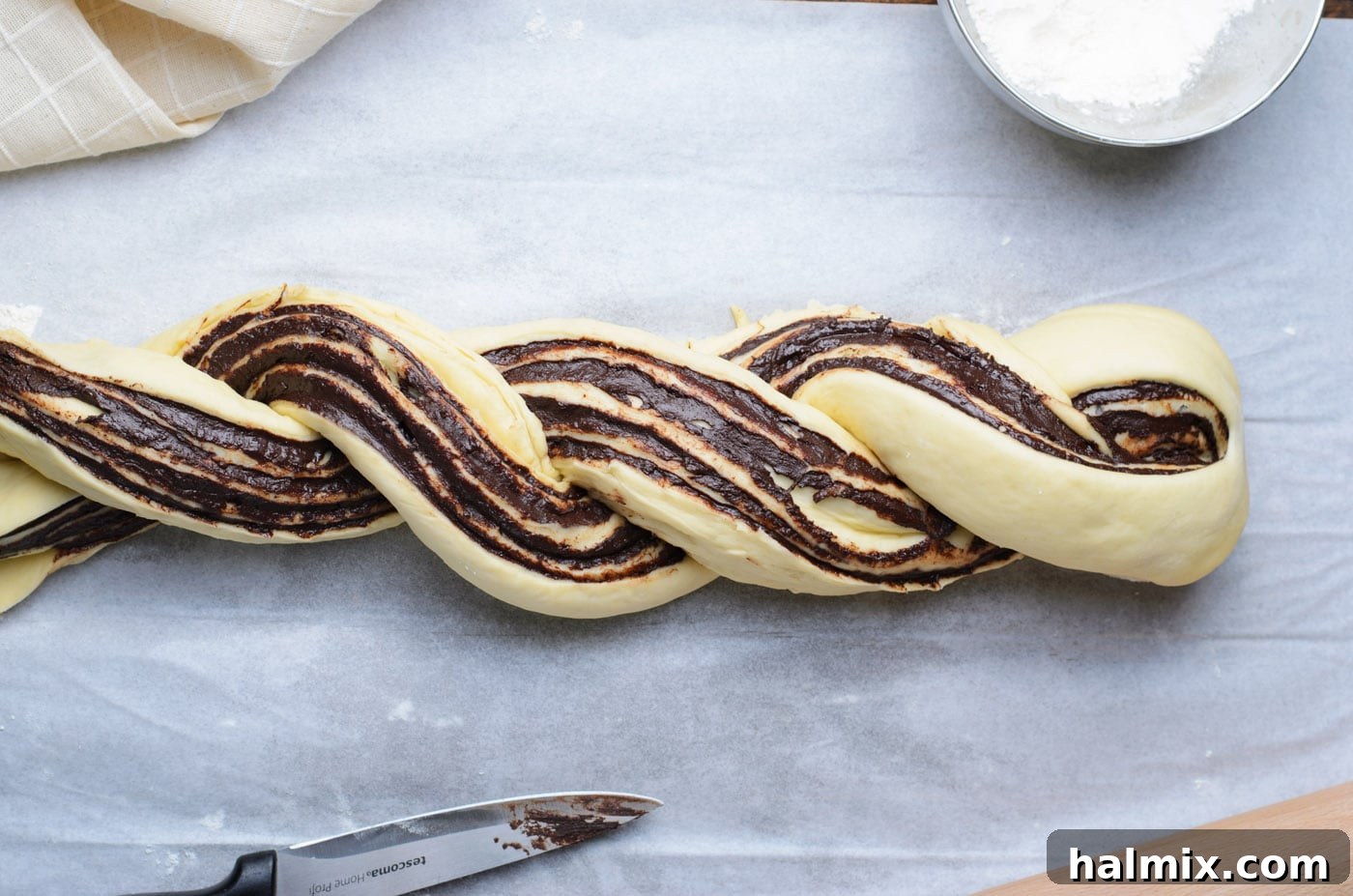 Braided Chocolate Heaven 14 braided chocolate babka dough