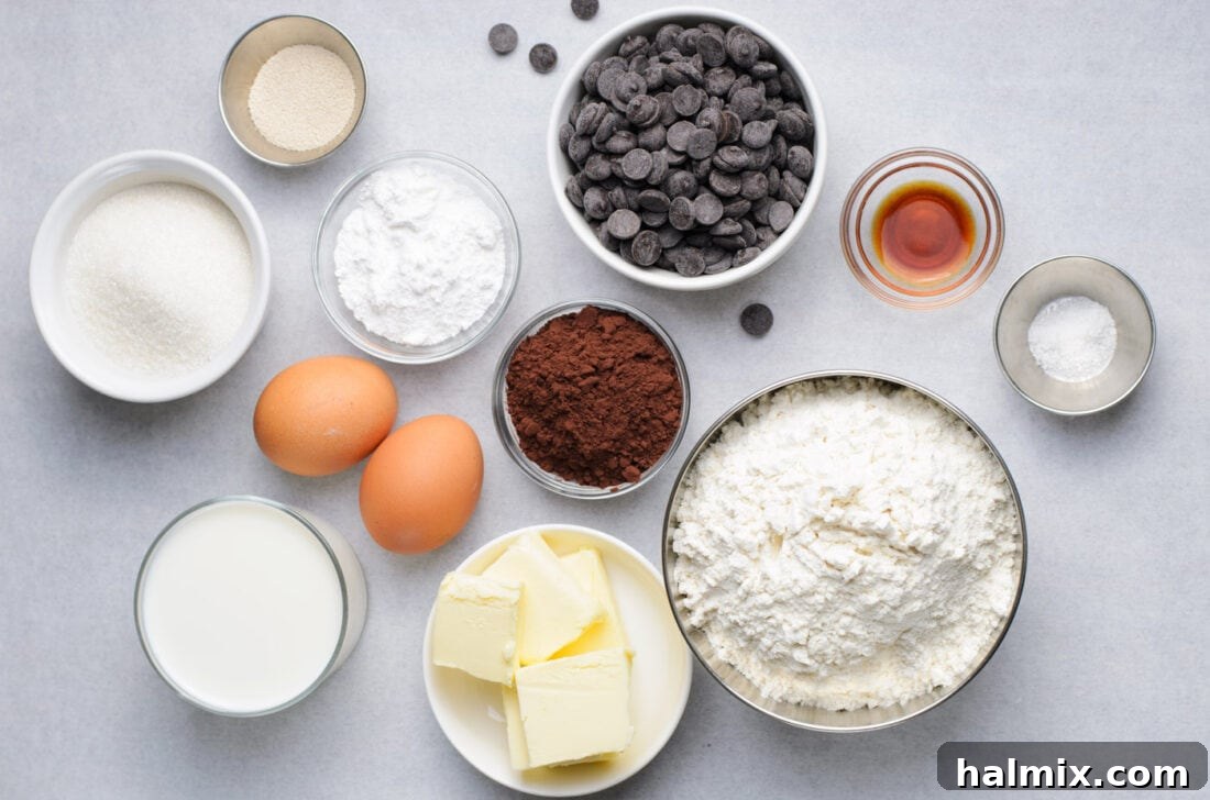 Braided Chocolate Heaven 4 Chocolate Babka ingredients