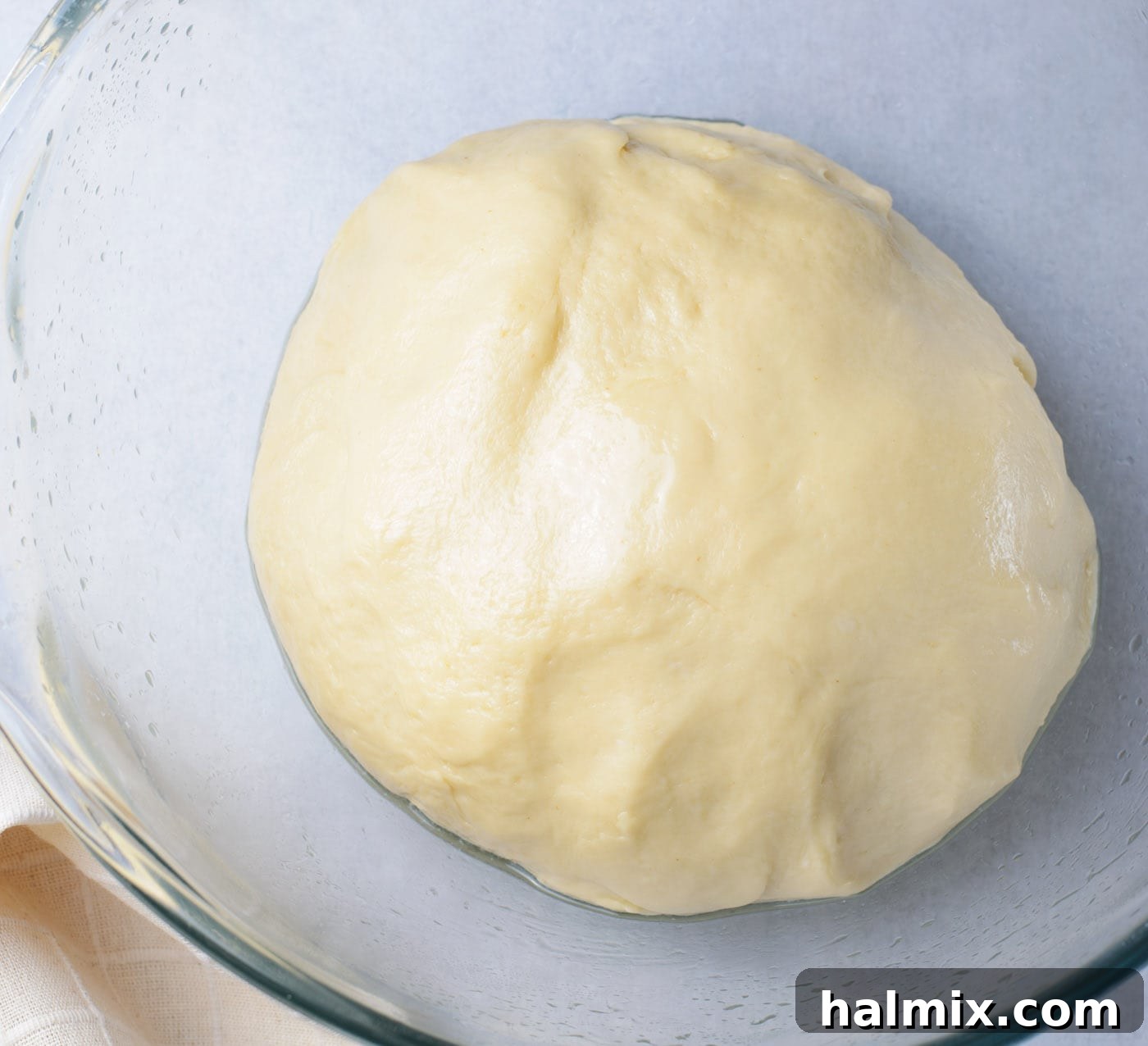 Braided Chocolate Heaven 8 chocolate babka dough