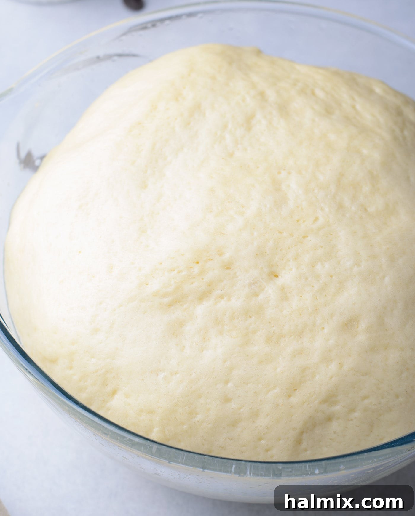 Braided Chocolate Heaven 9 chocolate babka dough