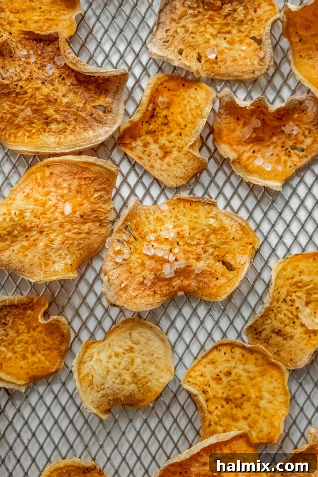 Homemade Air Fryer Sweet Potato Crisps 3 Air Fryer Sweet Potato Chips on a rack