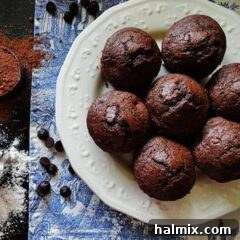 Starbucks Hot Cocoa Chocolate Chip Muffins 2 Starbucks Hot Cocoa Chocolate Chip Muffins
