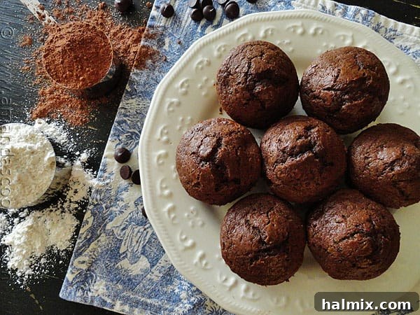 Starbucks Hot Cocoa Chocolate Chip Muffins A final overhead shot of beautiful copycat Starbucks hot cocoa chocolate chip muffins on a white plate, showcasing their delightful appearance.