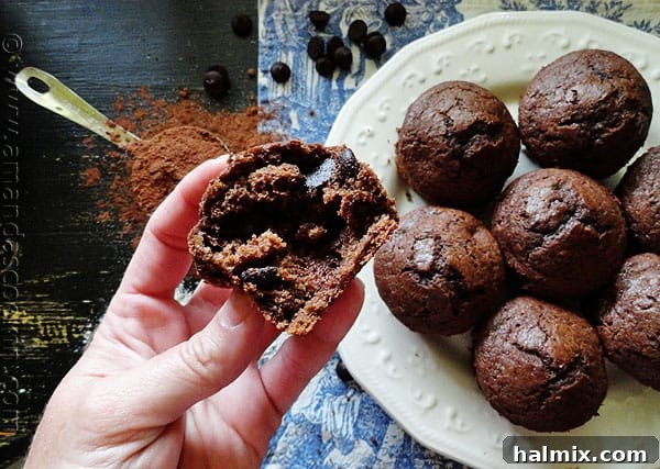 Starbucks Hot Cocoa Chocolate Chip Muffins Close-up of a Starbucks Hot Cocoa Chocolate Chip Muffin, showing its generous chocolate chips.