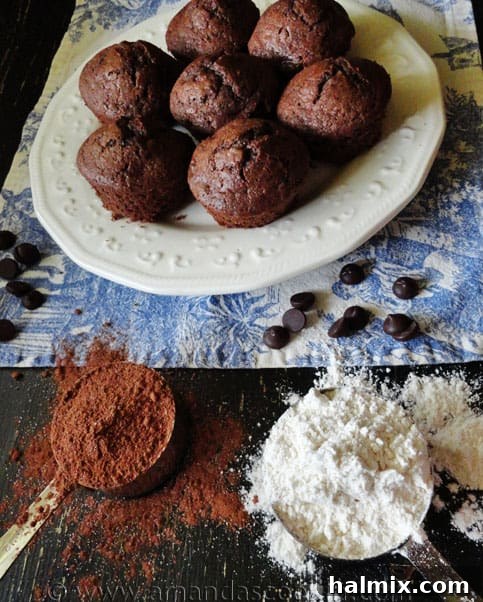 Starbucks Hot Cocoa Chocolate Chip Muffins A delicious Starbucks Hot Cocoa Chocolate Chip Muffin on a white plate.