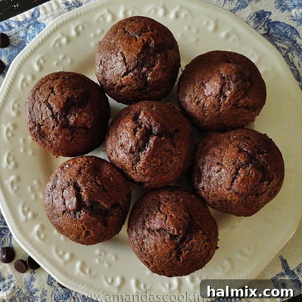 Starbucks Hot Cocoa Chocolate Chip Muffins An overhead photo of copycat Starbucks hot cocoa chocolate chip muffins beautifully arranged on a white plate.