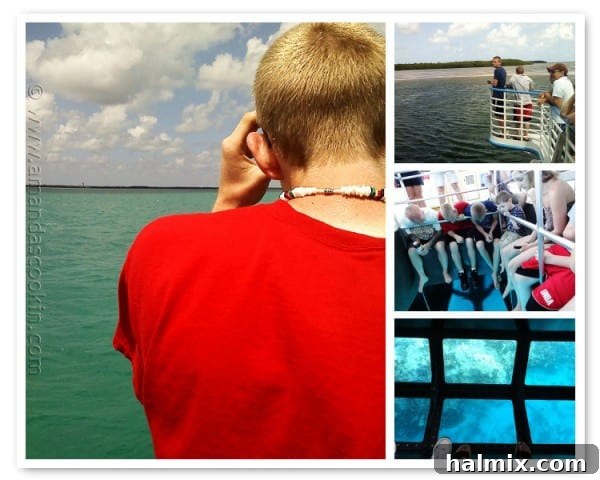 Key West Grilled Chicken Salad Glass-bottom boat tour on the clear waters of Key Largo