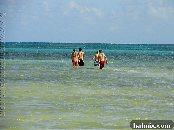 Key West Grilled Chicken Salad The serene beauty of Annie's Beach in Key Largo