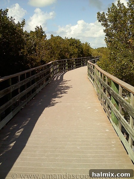 Key West Grilled Chicken Salad A picturesque wooden bridge path leading to the water
