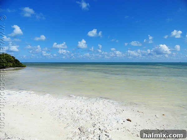 Key West Grilled Chicken Salad Close-up of Key West Grilled Chicken Salad ingredients