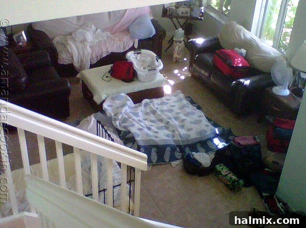 Key West Grilled Chicken Salad Key West Grilled Chicken Salad ingredients, vibrant and inviting