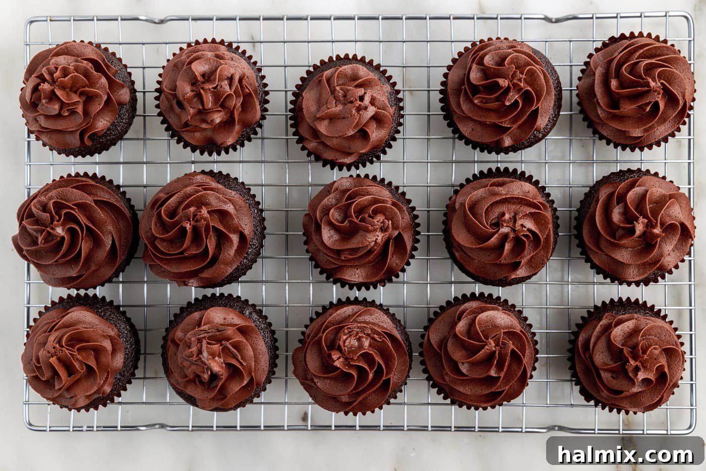 chocolate fudge frosting beautifully piped on top of chocolate cupcakes, ready to be enjoyed.