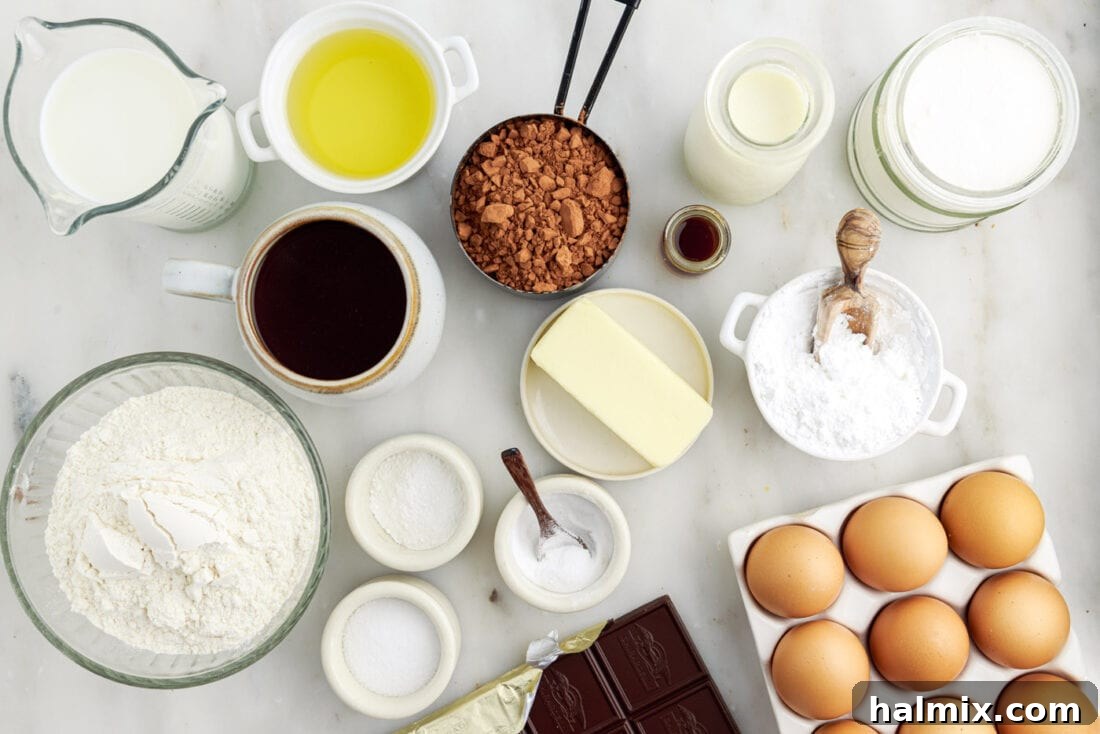 Decadent Double Chocolate Delights 4 A flat lay of all the fresh ingredients needed to make Double Chocolate Cupcakes, including flour, cocoa powder, eggs, milk, and butter.