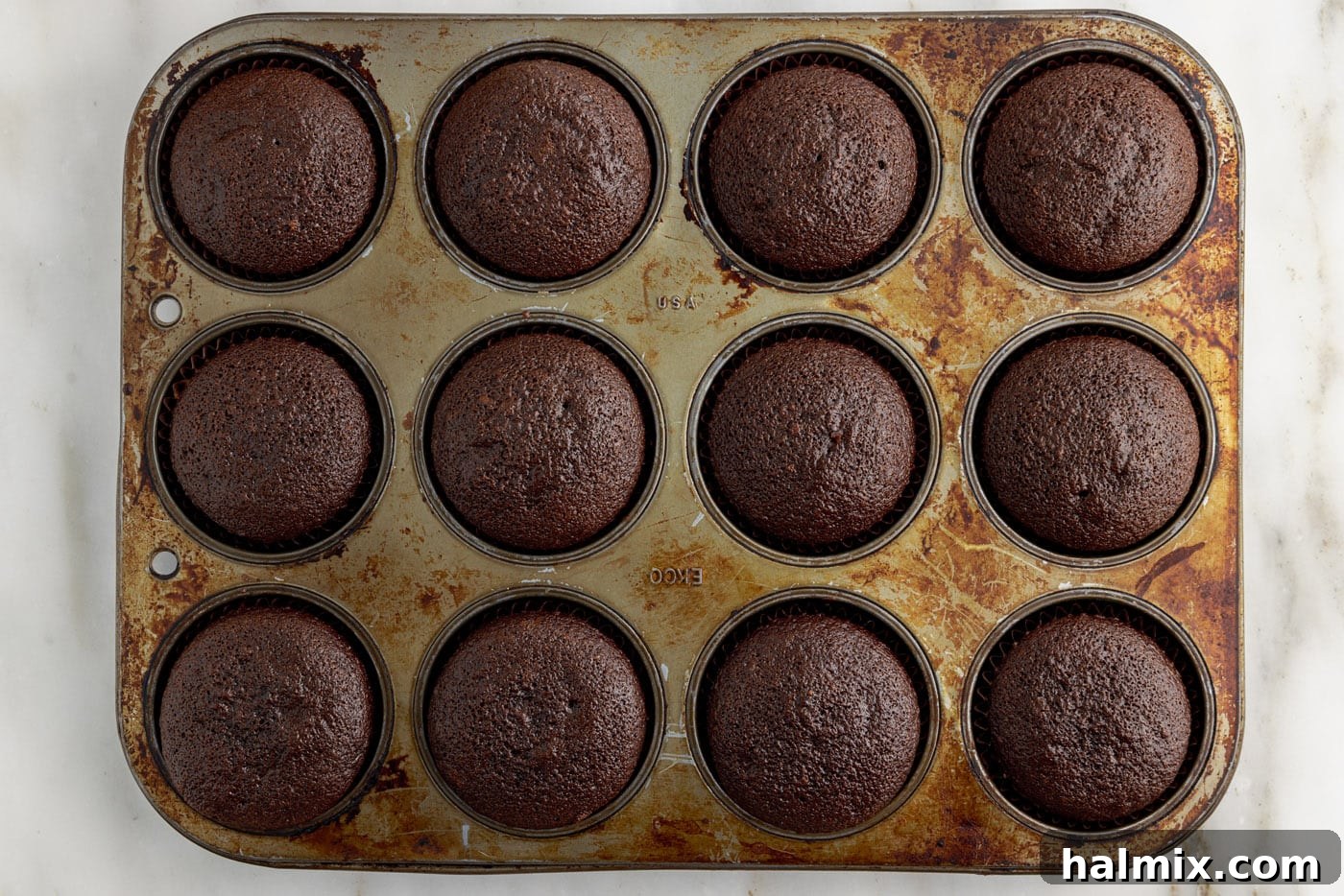 Decadent Double Chocolate Delights 9 freshly baked double chocolate cupcakes still in the muffin tin, perfectly puffed.