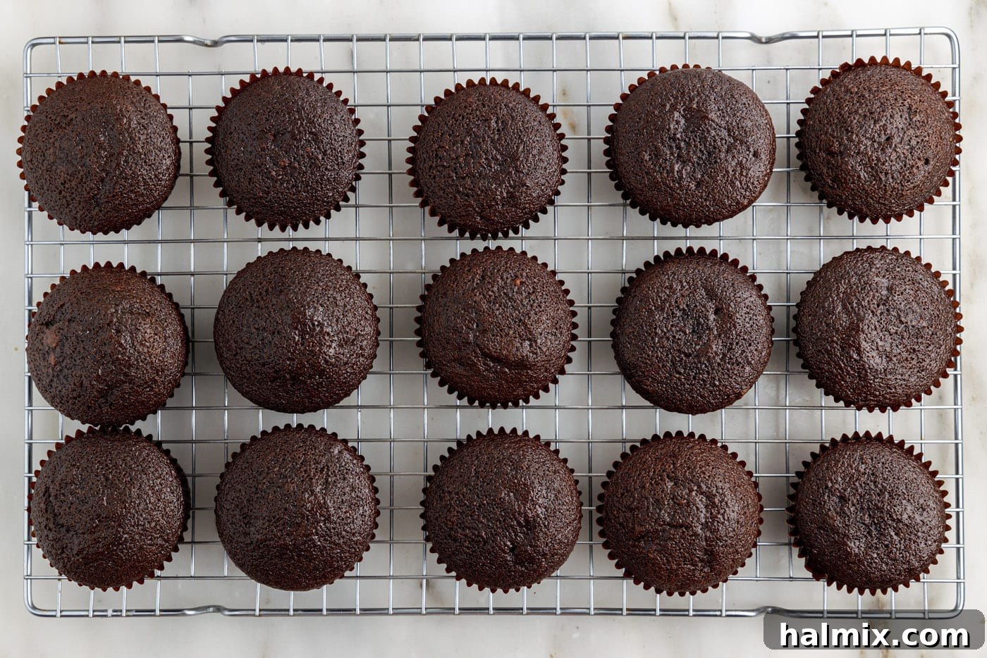 Decadent Double Chocolate Delights 10 baked chocolate cupcakes cooling on a wire rack.