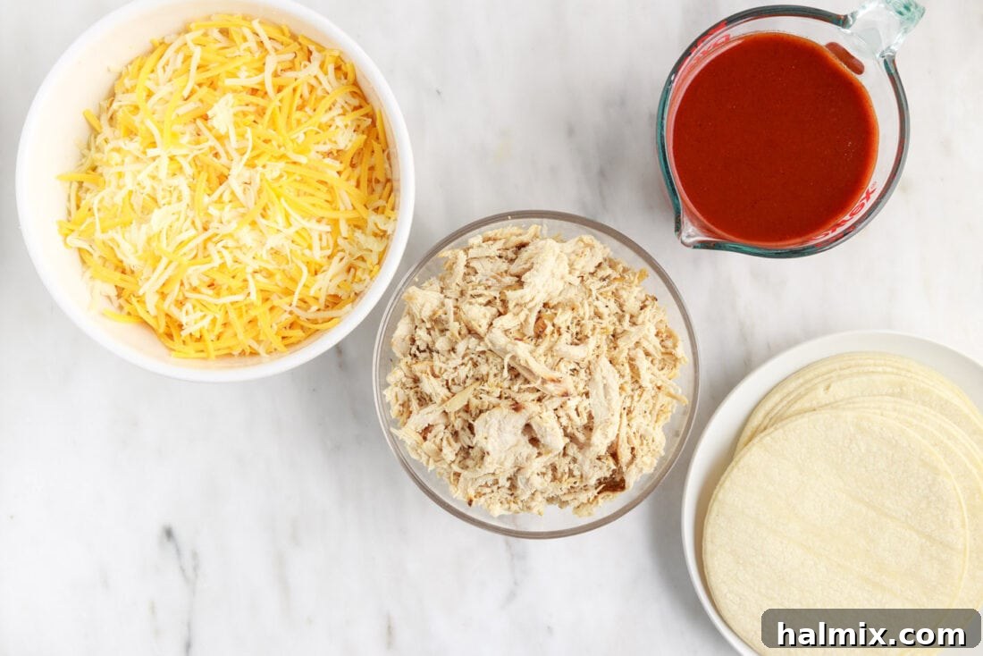 A selection of ingredients for Chicken Enchilada Casserole: enchilada sauce, corn tortillas, shredded chicken, and blocks of cheddar and Monterey jack cheese.