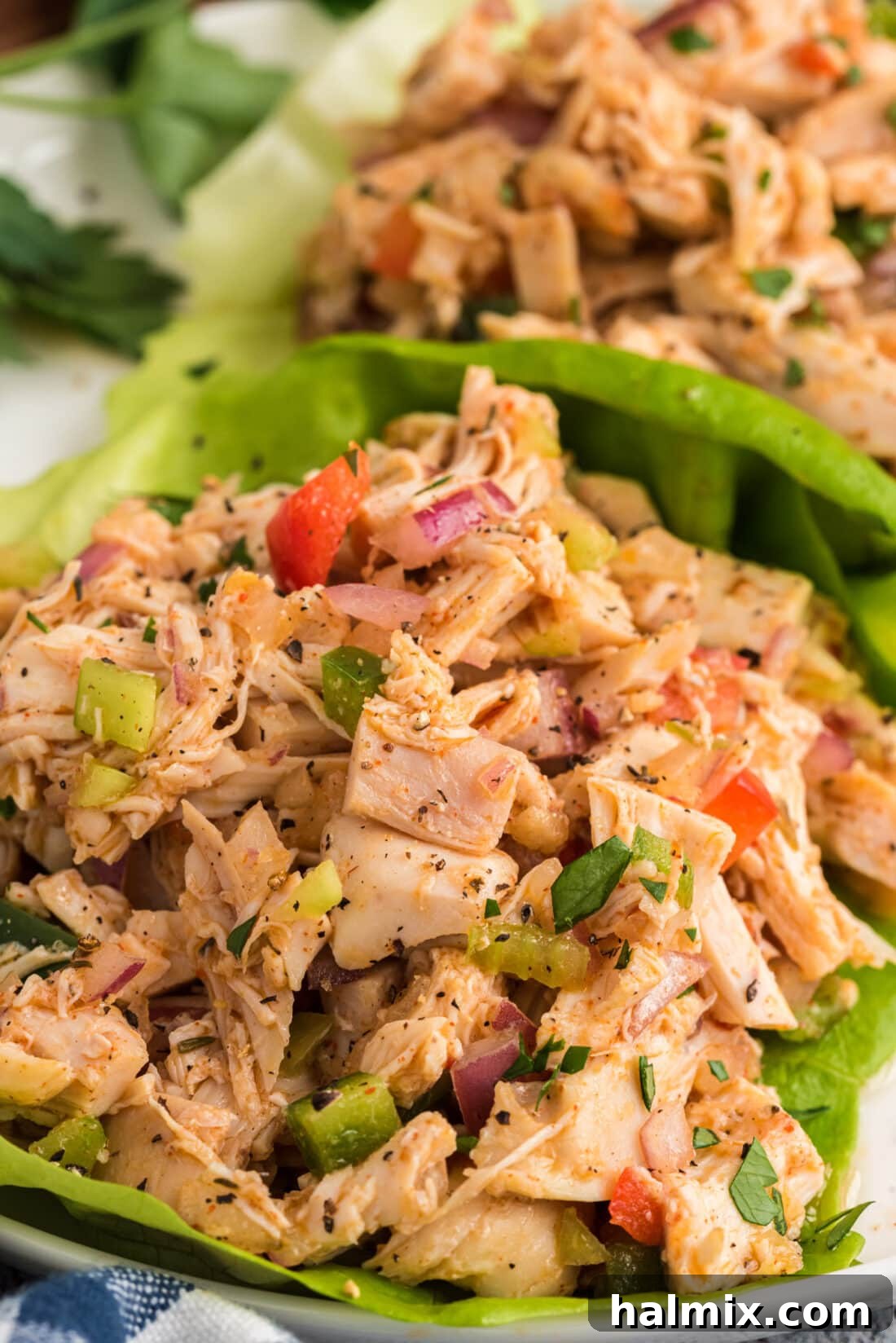 Cajun Chicken Salad on lettuce leaves, showcasing vibrant colors and crisp texture