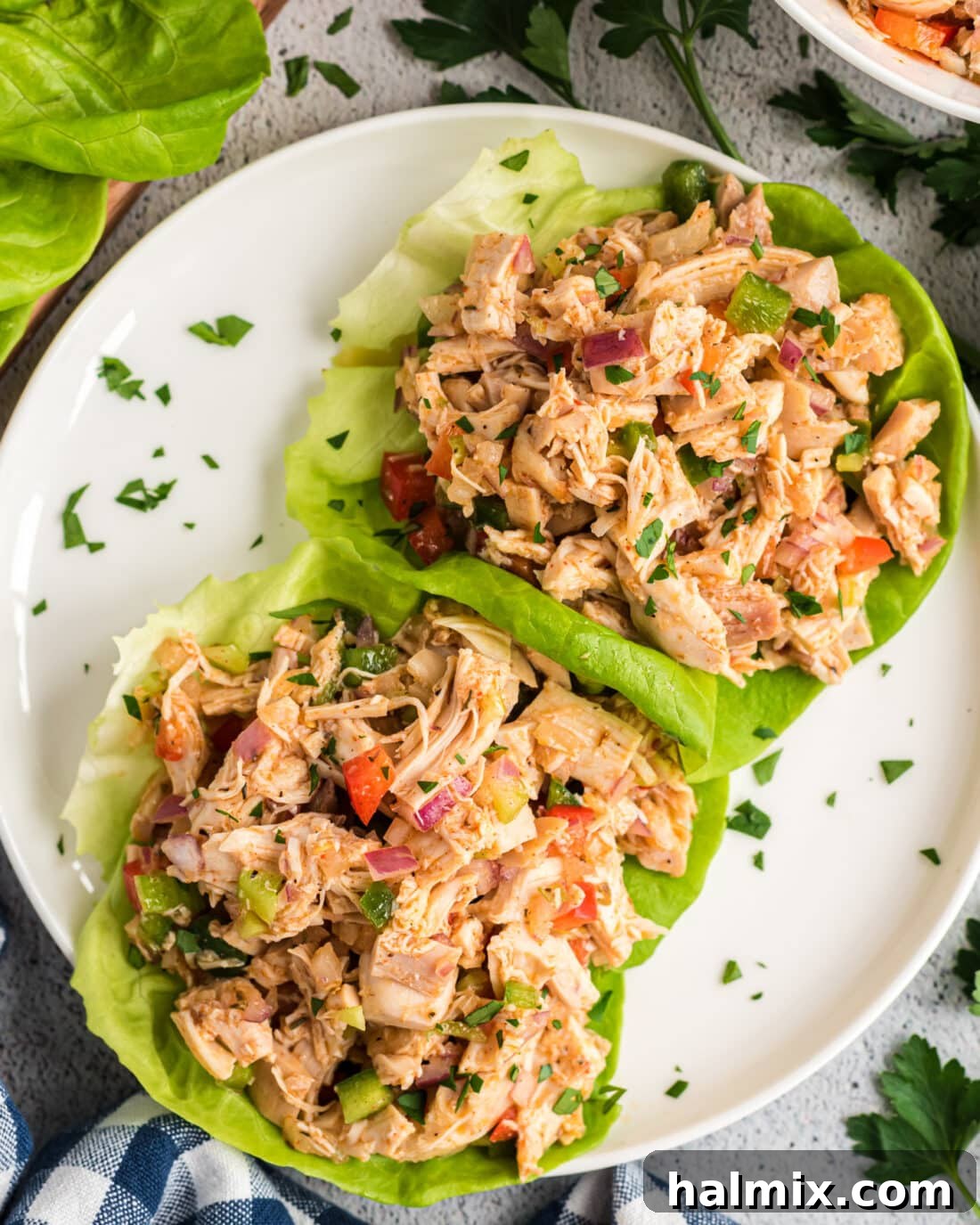 Cajun Chicken Salad artfully arranged on individual lettuce beds, ready to be served