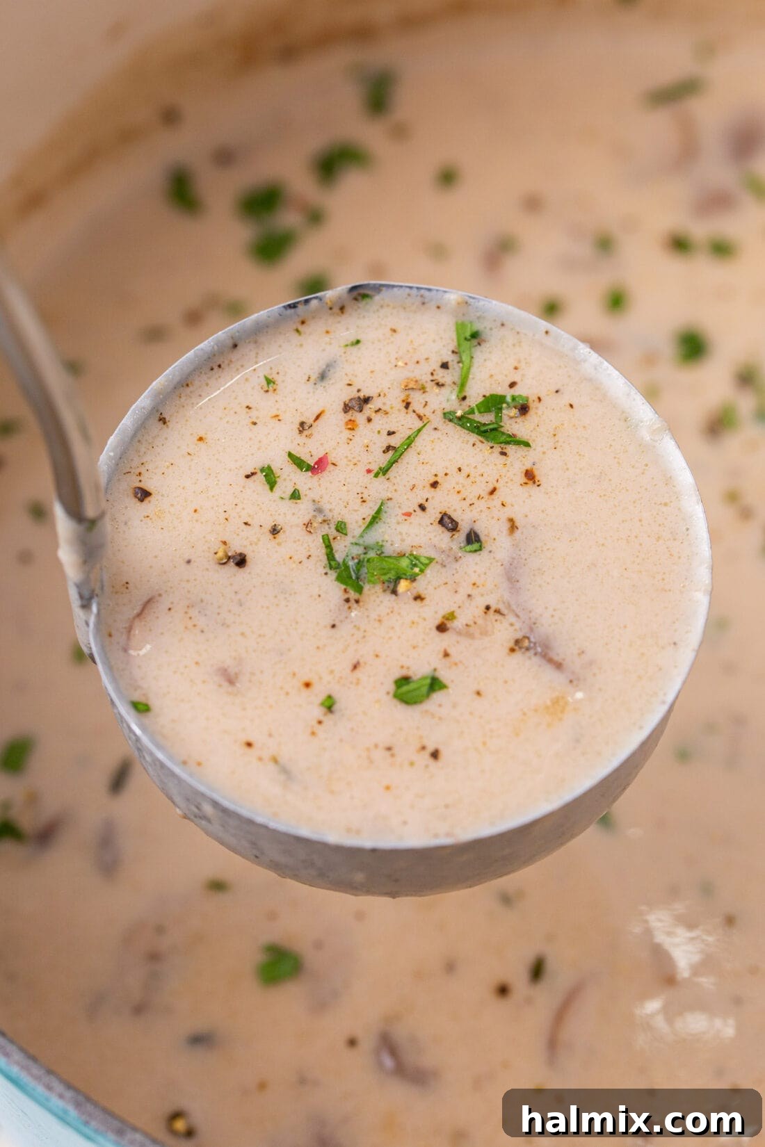 Ladle lifting a spoonful of homemade Cream of Mushroom Soup, showcasing its rich, creamy texture and visible mushroom pieces.