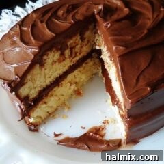 A photo of a classic yellow cake covered in chocolate frosting with a slice removed.
