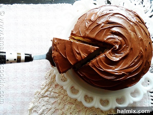 Handmade Birthday Cake for my Mother, decorated with swirls of chocolate frosting.