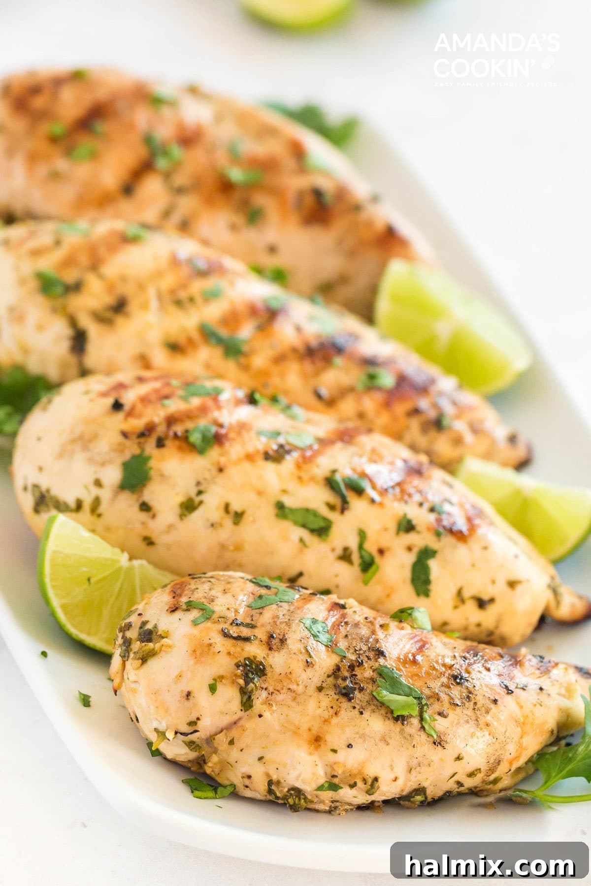 Plated cilantro lime grilled chicken breasts on a white plate, garnished with fresh cilantro.