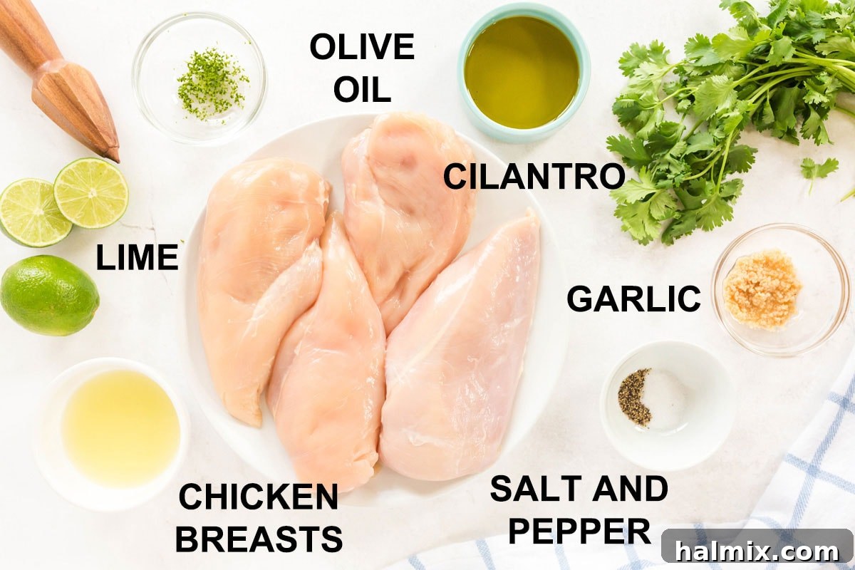 Labeled ingredient photo showing fresh cilantro, limes, garlic, olive oil, salt, and pepper arranged around chicken breasts.