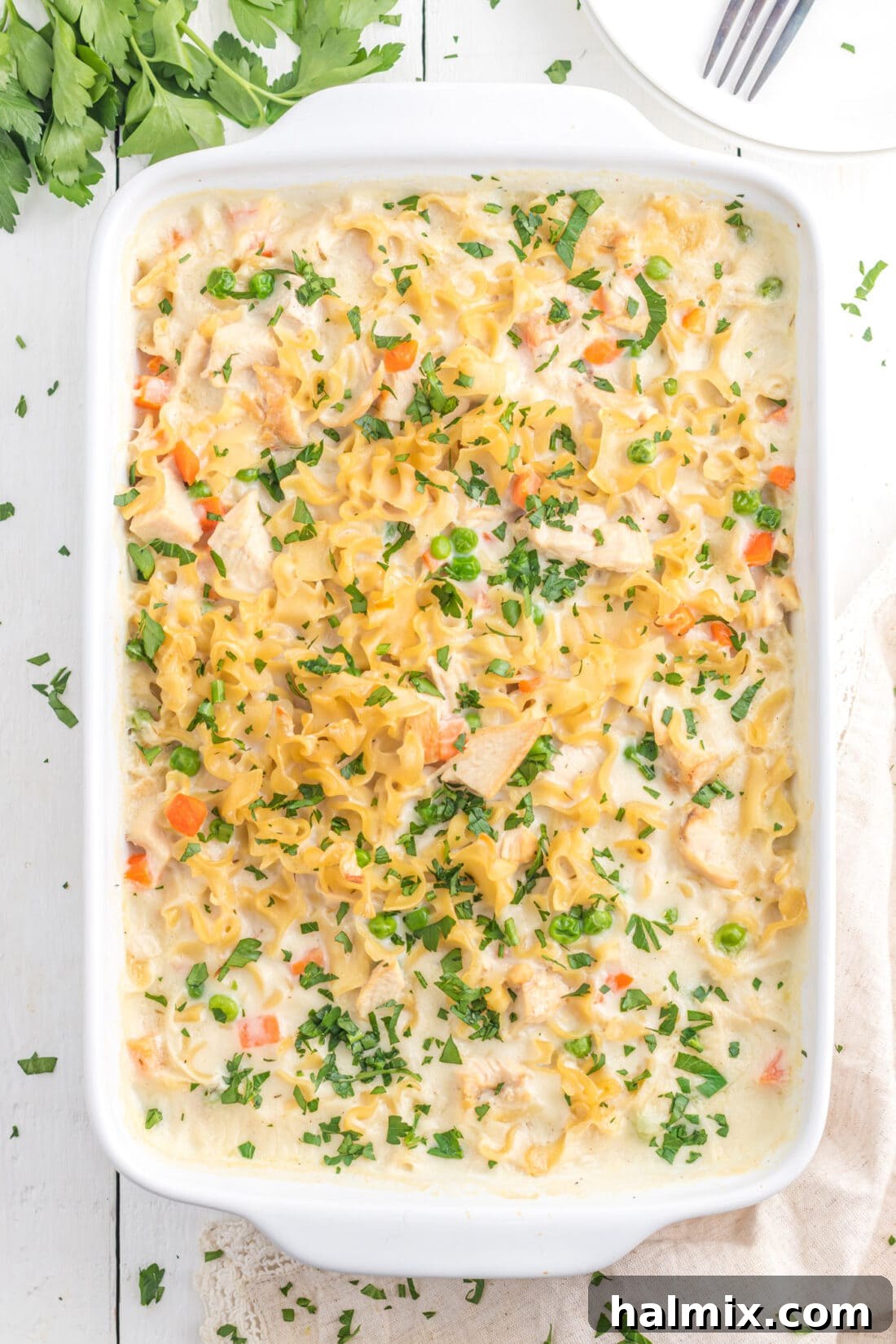 Creamy Chicken Noodle Delight 2 A golden-brown Creamy Chicken Noodle Casserole, fresh out of the oven, in a rectangular baking dish.