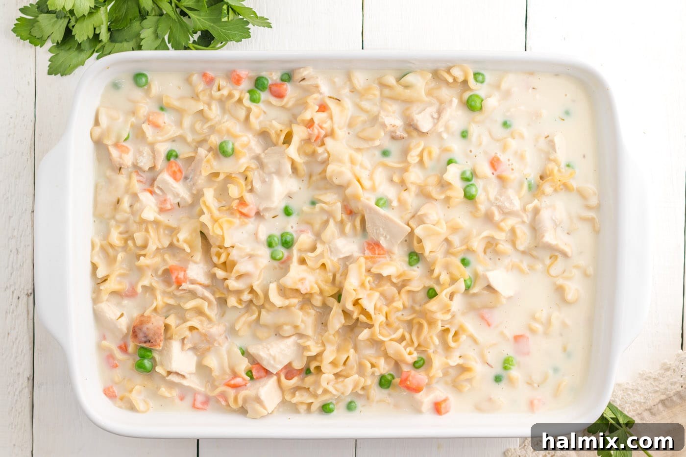 Creamy Chicken Noodle Delight 12 Creamy chicken noodle casserole transferred to a buttered 9x13 inch baking dish, ready for the oven.