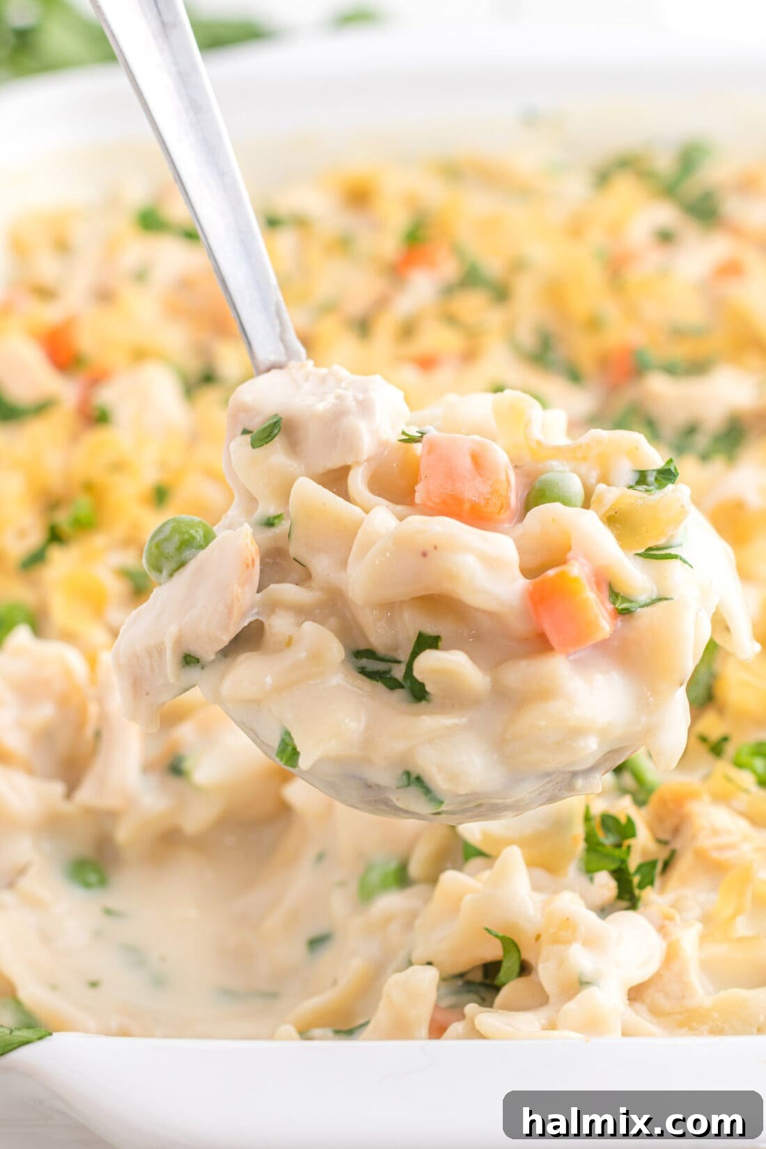 Creamy Chicken Noodle Delight 3 A serving of creamy chicken noodle casserole being scooped with a ladle from the baking dish.