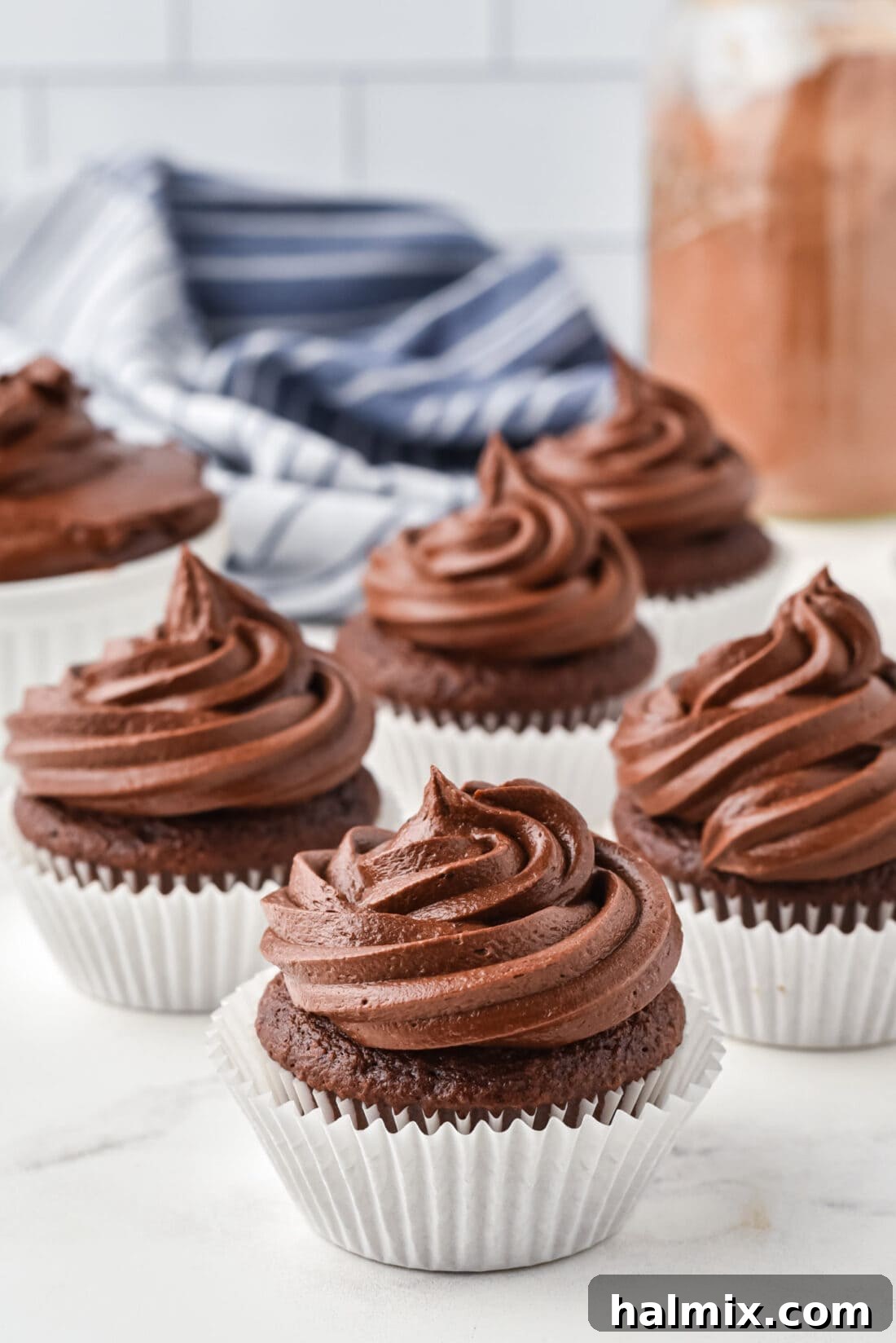 Chocolate frosted cupcakes, ready to be served
