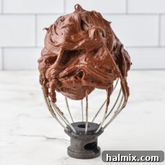 Chocolate Fudge Frosting