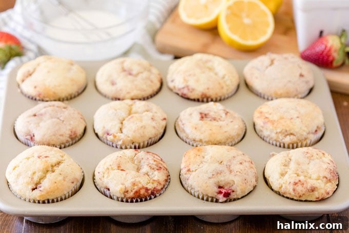 baked muffins in pan