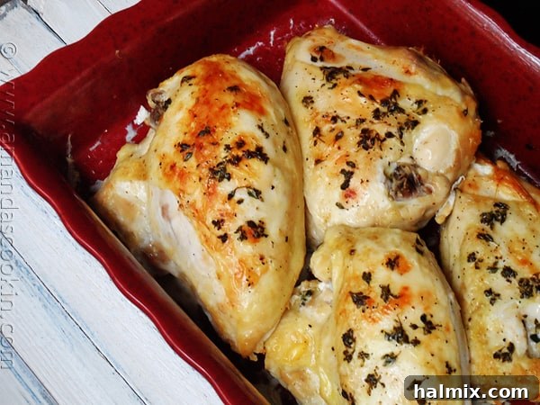 Golden roasted chicken breasts, beautifully browned and juicy, in a vibrant red roasting pan, ready to be served.