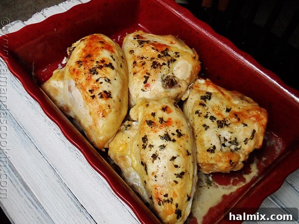 A vibrant, full shot of golden roasted chicken breasts in a red roasting pan, with a few fresh herb sprigs as garnish, showcasing their appetizing appeal.