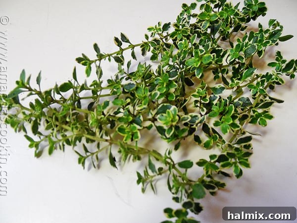 A close-up photograph of fresh, vibrant lemon thyme leaves, showing their delicate texture and bright green color, perfect for adding zest to savory dishes.