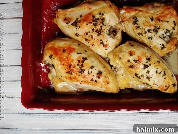 An inviting overhead view of perfectly golden roasted chicken breasts, glistening with juices, nestled in a vibrant red roasting pan, accompanied by roasted lemon slices and herbs.