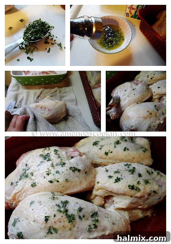 A beautiful close-up of golden roasted chicken breasts, richly seasoned and perfectly cooked, highlighting the crispy skin and tender meat.