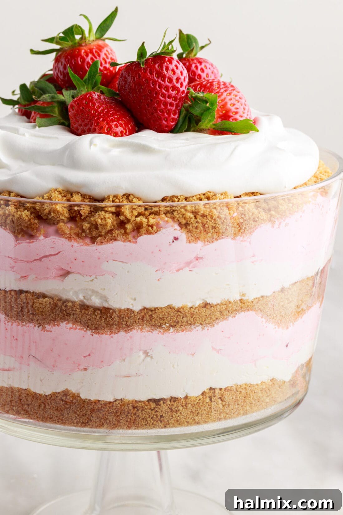 Strawberry Lasagna Delight 2 A beautifully layered Strawberry Lasagna Trifle, garnished with an abundance of fresh, vibrant strawberries on top.