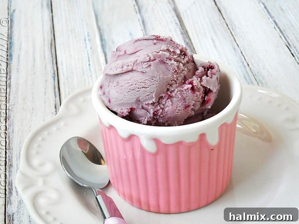 Vanilla Blackberry Jam Ice Cream A close-up of luscious vanilla blackberry jam ice cream scooped into a pink bowl, with a spoon ready for tasting.