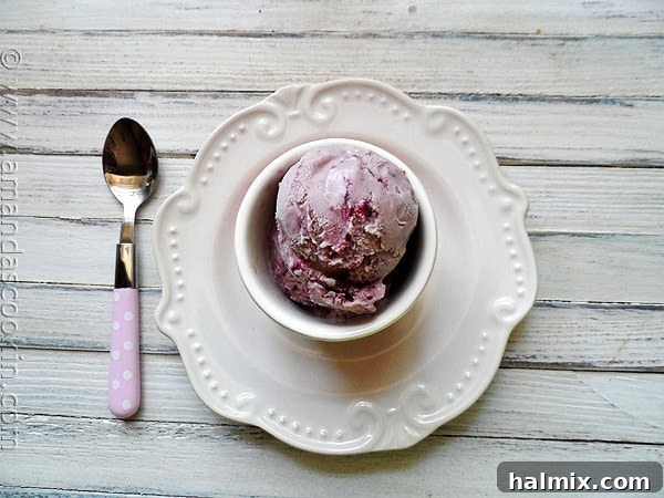 Vanilla Blackberry Jam Ice Cream Overhead view of homemade vanilla blackberry jam ice cream, showcasing its creamy texture in a serving bowl.