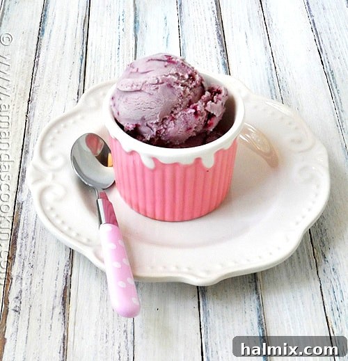 Vanilla Blackberry Jam Ice Cream A single scoop of rich vanilla blackberry jam ice cream in a charming pink bowl, highlighting the vibrant fruit swirl.