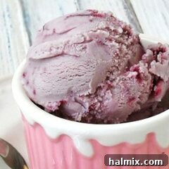 Round image of a perfectly scooped vanilla blackberry jam ice cream, ready to be enjoyed.