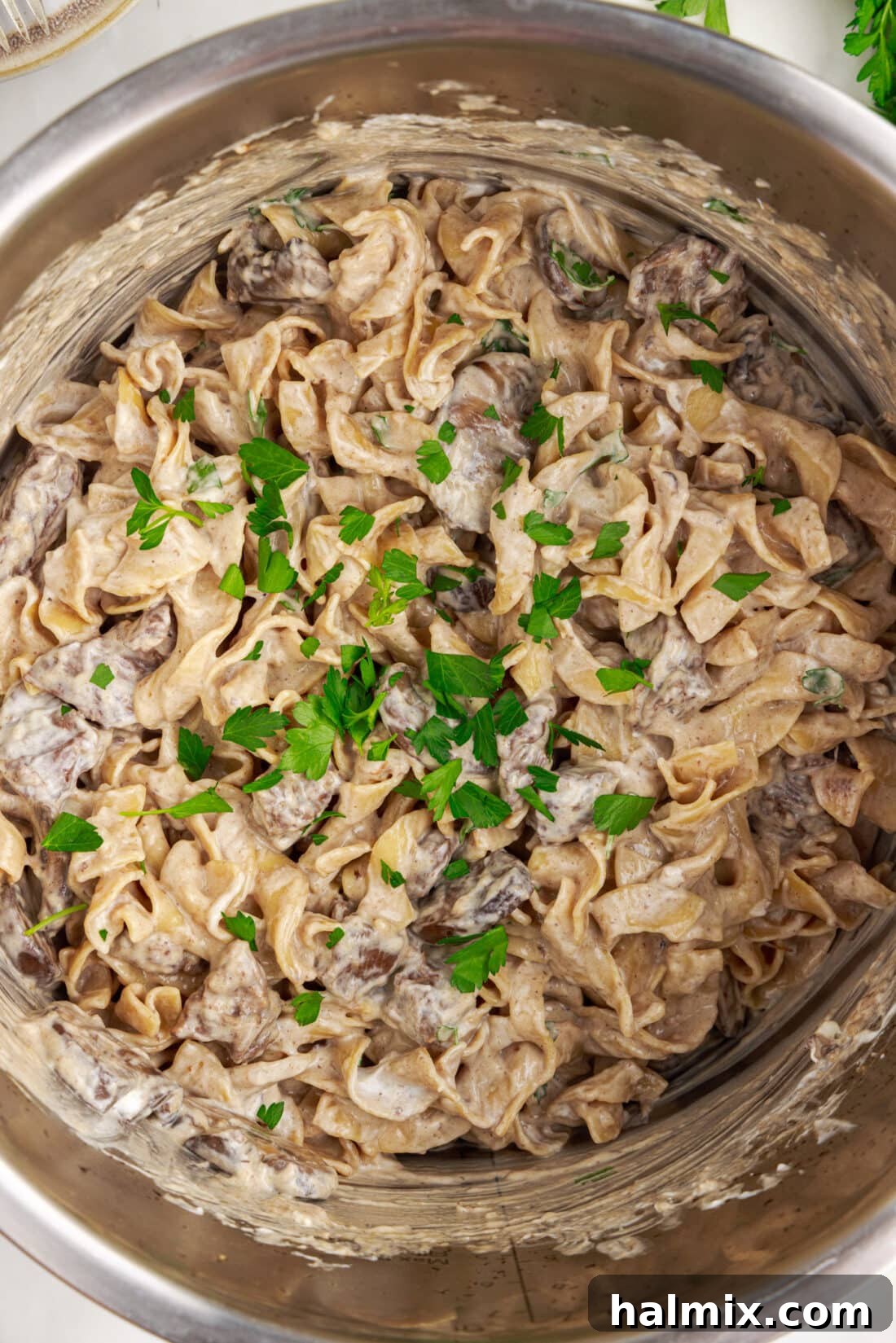 Close-up overhead photo of a steaming bowl of Instant Pot Beef Stroganoff, garnished with fresh parsley.