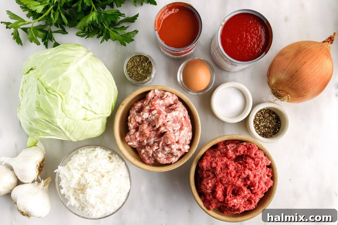 Savory Stuffed Cabbage Bundles 4 A vibrant flat lay photo showcasing all the fresh ingredients needed for Cabbage Rolls, including ground meats, rice, cabbage, and tomato sauce components.