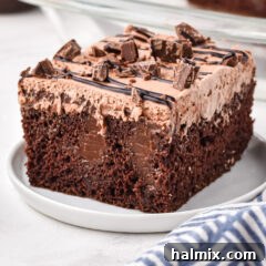 Chocolate Poke Cake