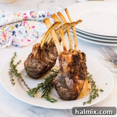 Rack of Lamb