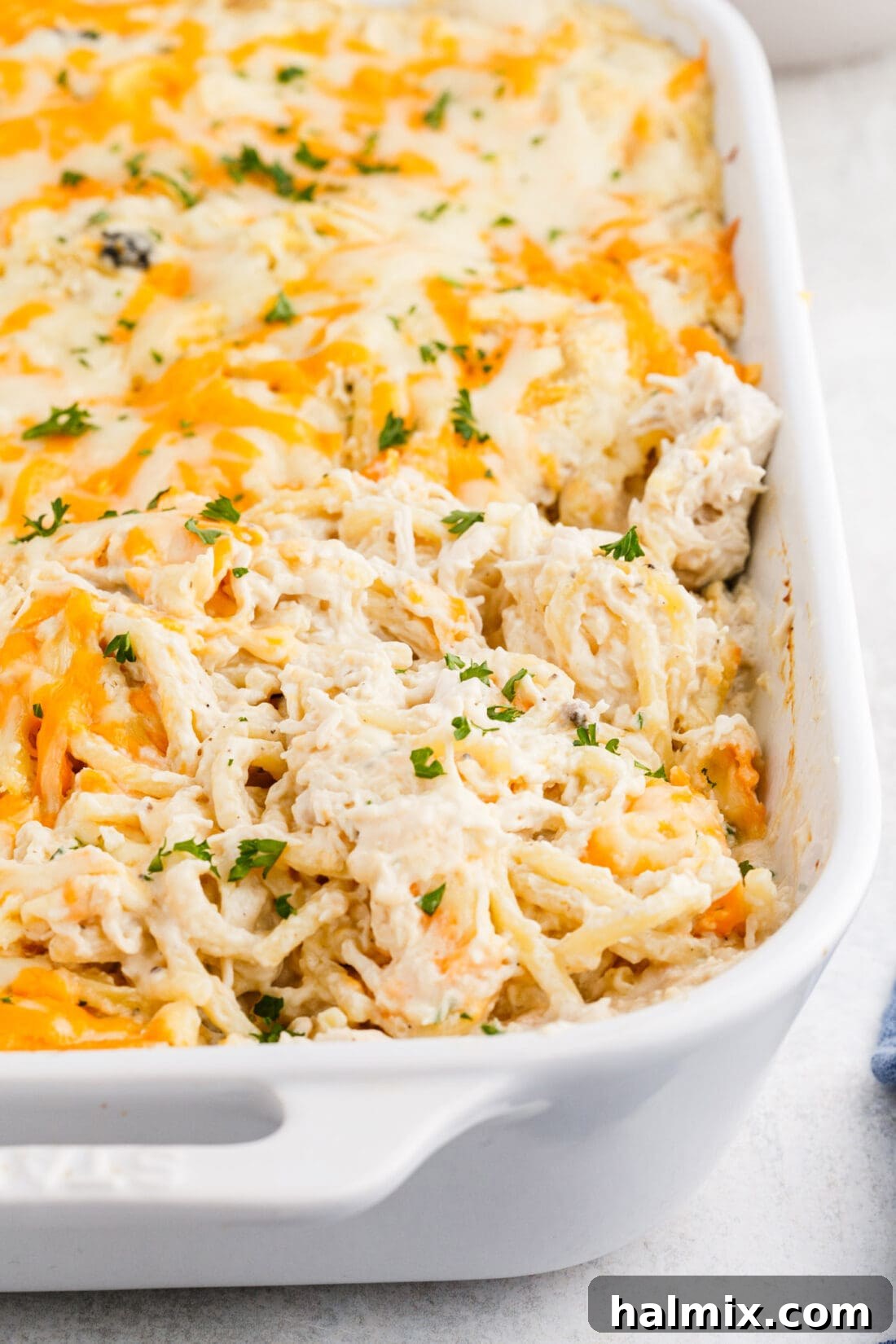 Creamy Baked Chicken Tetrazzini 3 Chicken Tetrazzini baking in a casserole dish