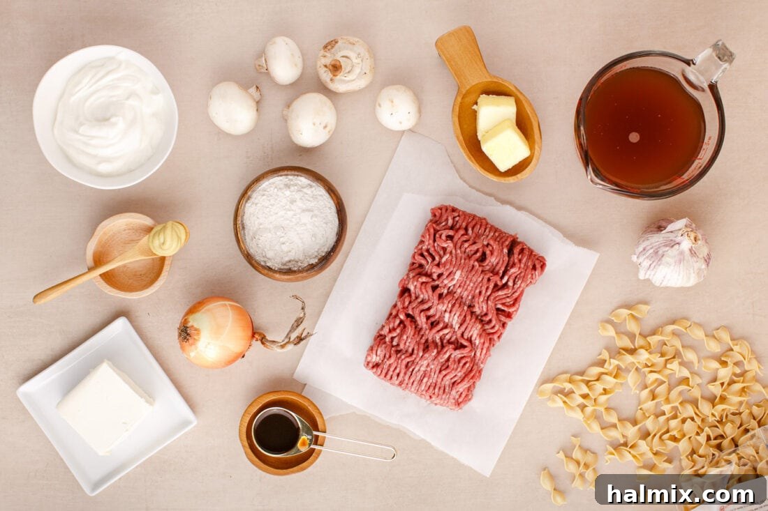 Creamy Ground Beef Stroganoff 4 Arrangement of fresh ingredients for Ground Beef Stroganoff, including ground beef, mushrooms, onions, garlic, broth, sour cream, and noodles.