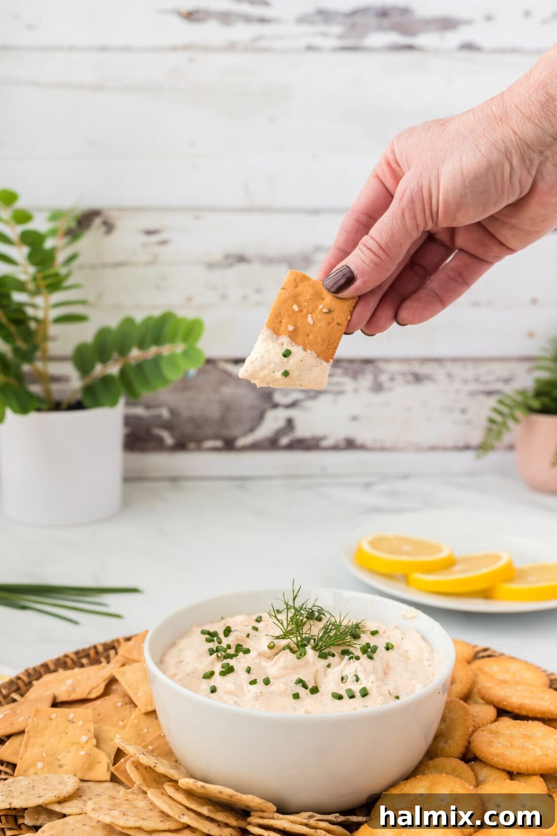 Dipping a crisp cracker into a bowl of creamy Smoked Salmon Dip, ready to enjoy.